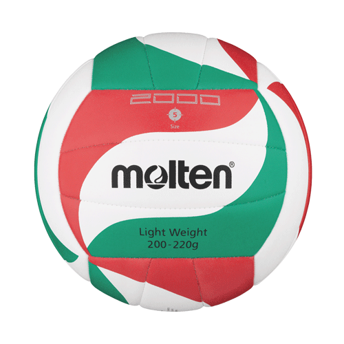 molten-volleyball-V5M2000-L-web.png
