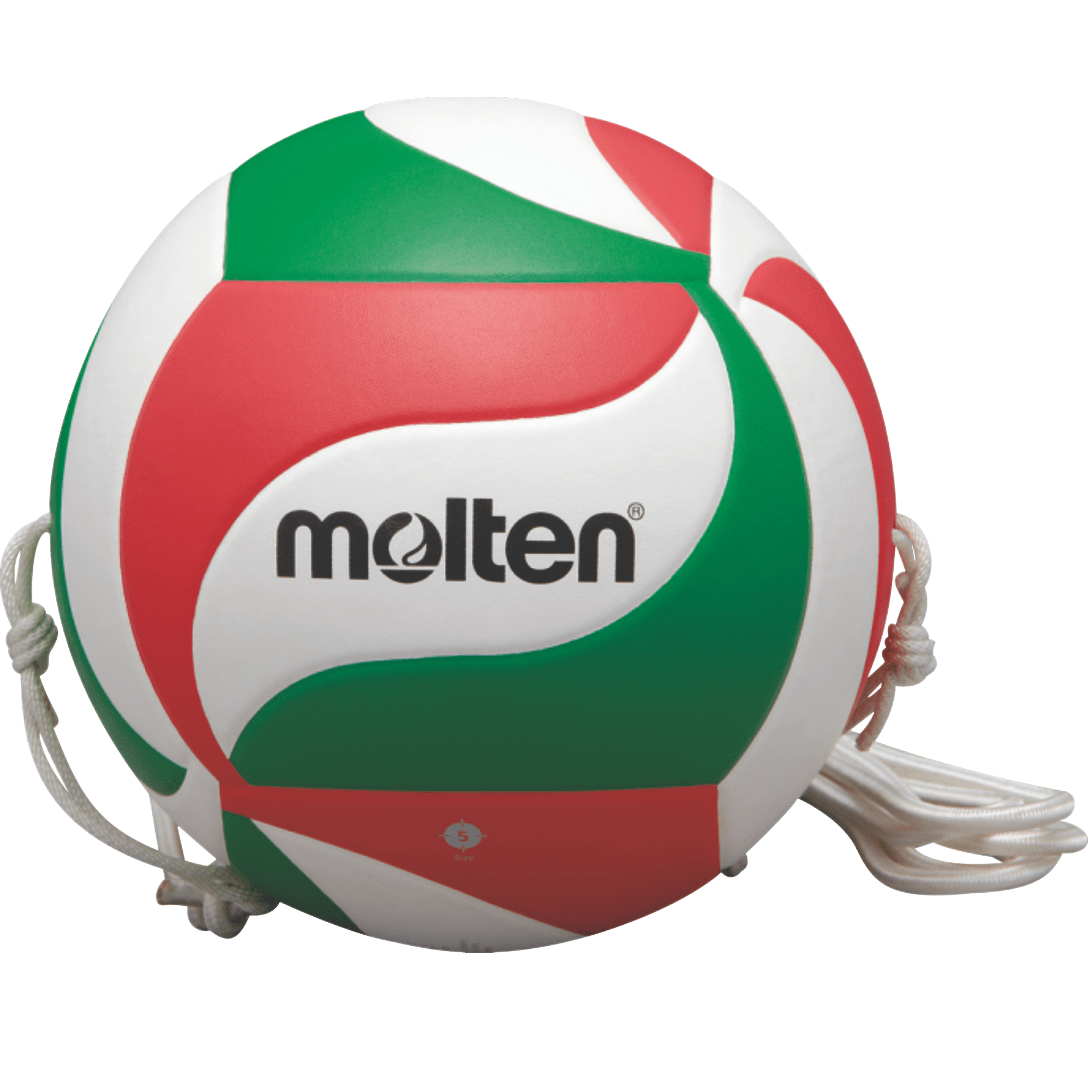 molten-volleyball-V5M9000-T.png