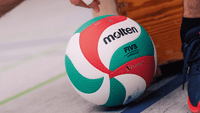 Hallenvolleybälle