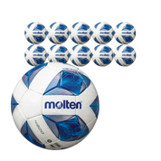 10x Ballpaket Fußball Gr. 5 | F5A4900