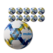 10x Ballpaket Fußball Gr. 5 | F5D3100-B