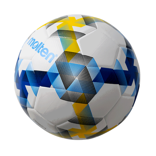 10x Ballpaket Fußball Gr. 5 | F5D3100-B