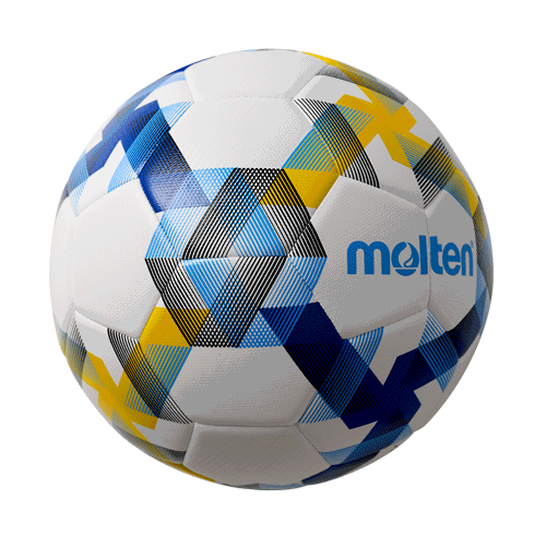 10x Ballpaket Fußball Gr. 5 | F5D3100-B