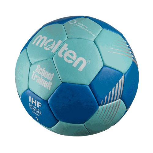 School TraineR Handball Gr.1 | H1F-ST