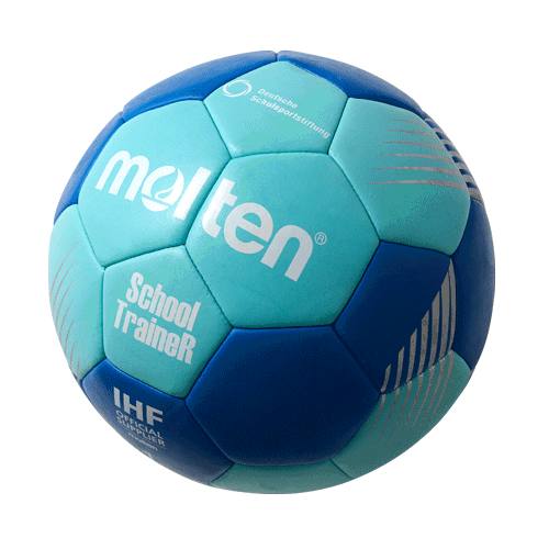 School TraineR Handball Gr.1 | H1F-ST