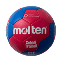 School TraineR Handball Gr. 2 | H2F-ST