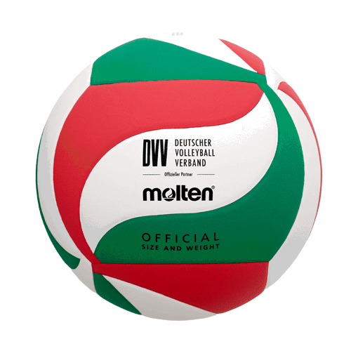 School MasteR Volleyball Gr. 5 | V5M-SM