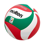 School MasteR Volleyball Gr. 5 | V5M-SM