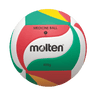 Volleyball Training Gr. 5 | V5M9000-M