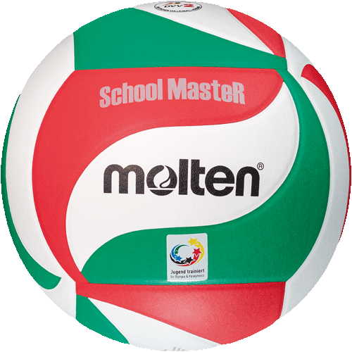 molten-volleyball-V5M-SM-web_1.png