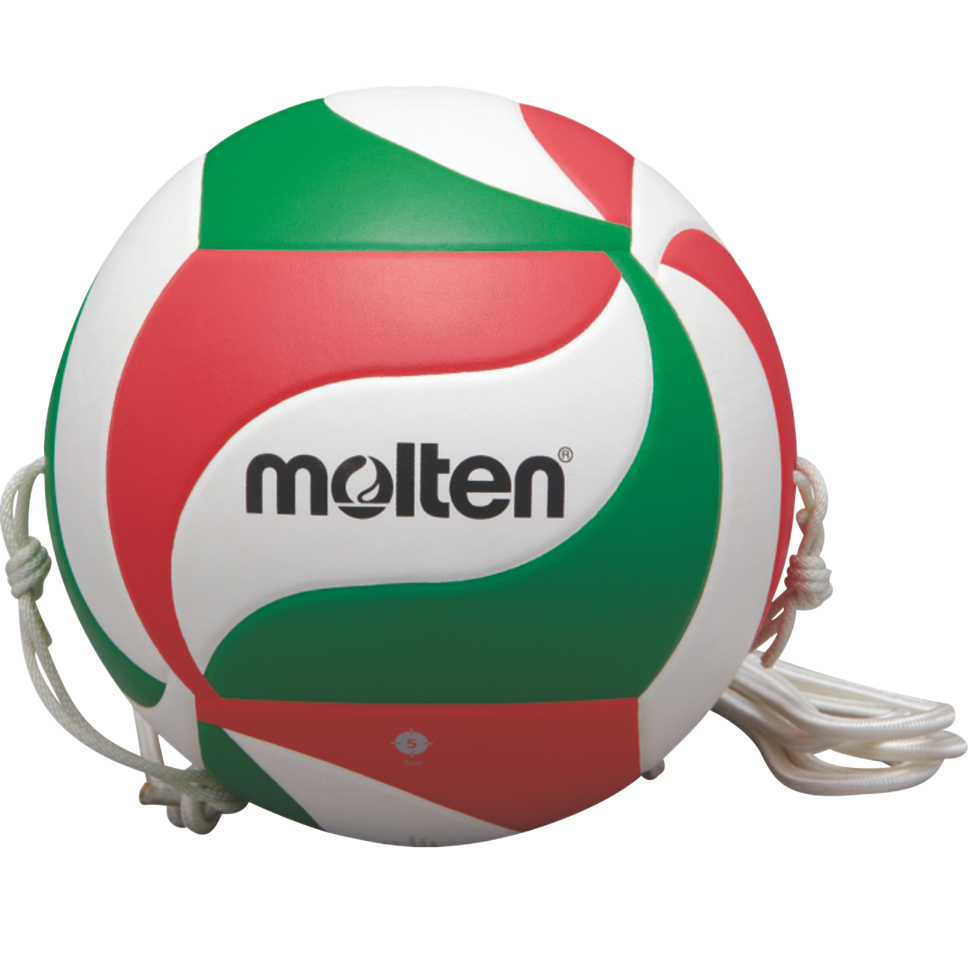 molten-volleyball-V5M9000-T.png