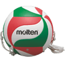 Volleyball Training Gr. 5 | V5M9000-T